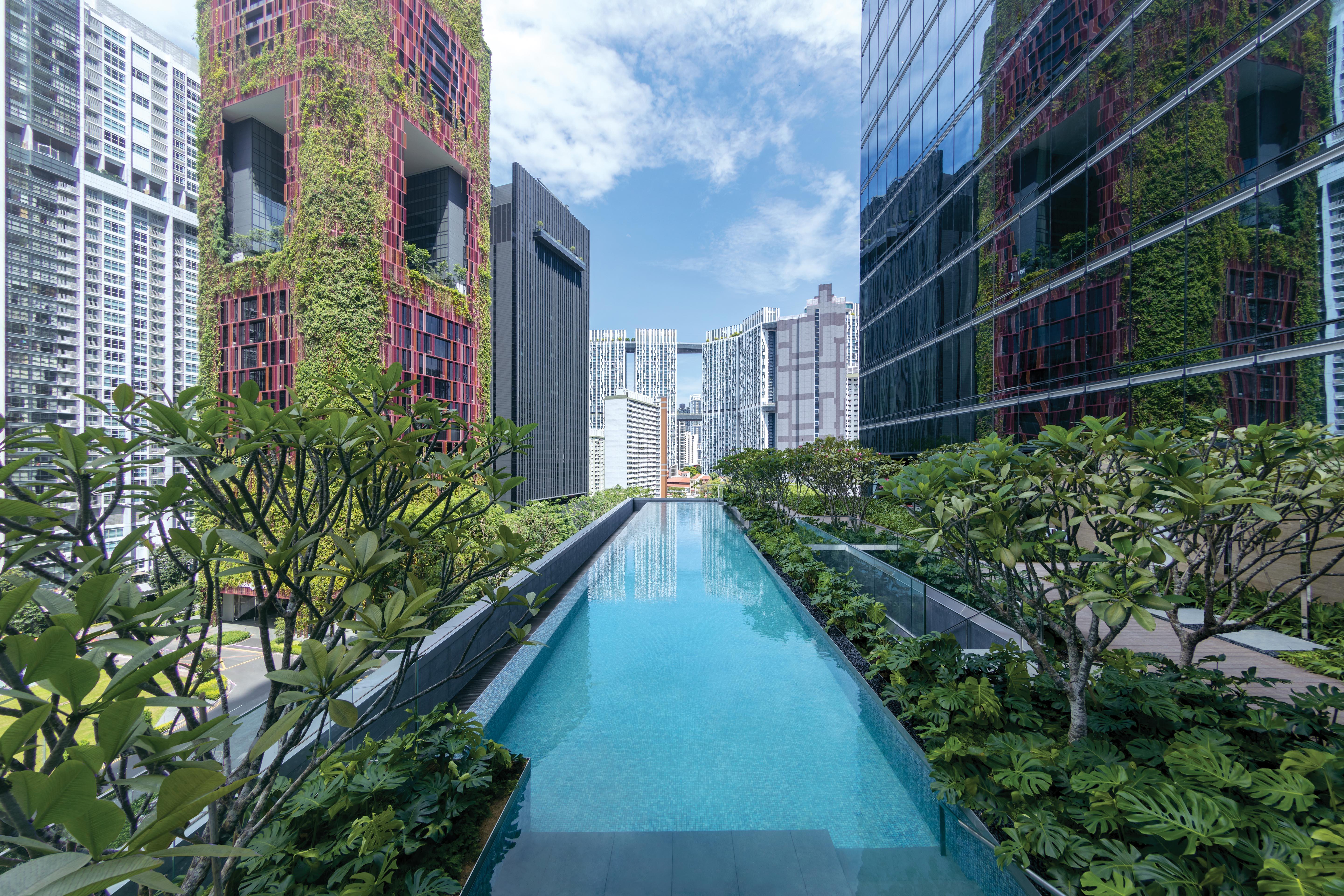 Sofitel Singapore City Centre Eksteriør billede